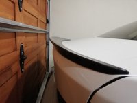 wing1.jpg
