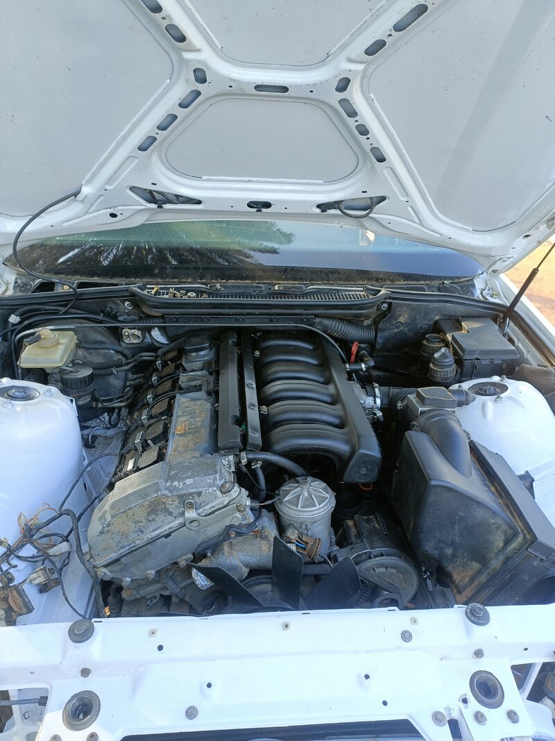 IMG20230829093451.jpg