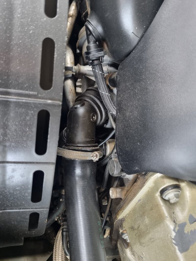 WhatsApp Image 2026-01-20 at 14.34.23.jpeg