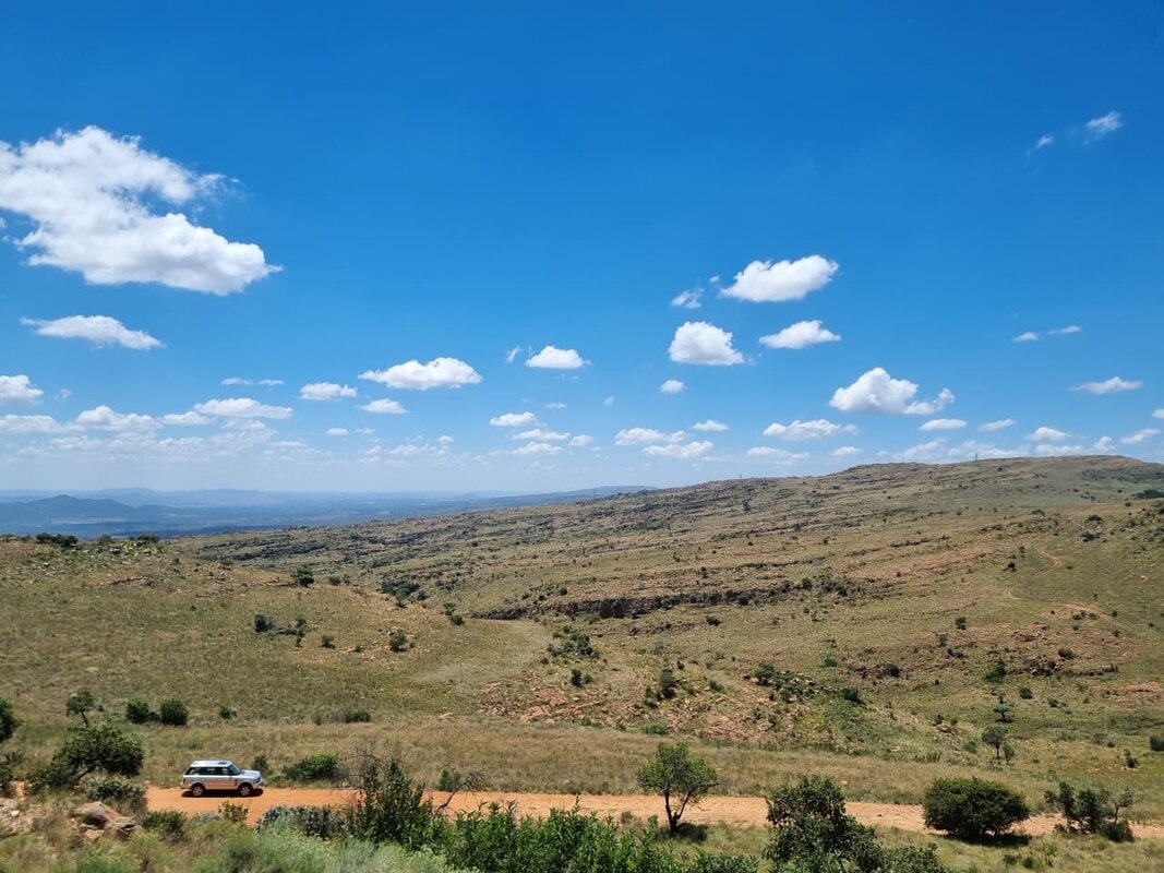 WhatsApp Image 2026-02-08 at 14.32.26b.jpeg