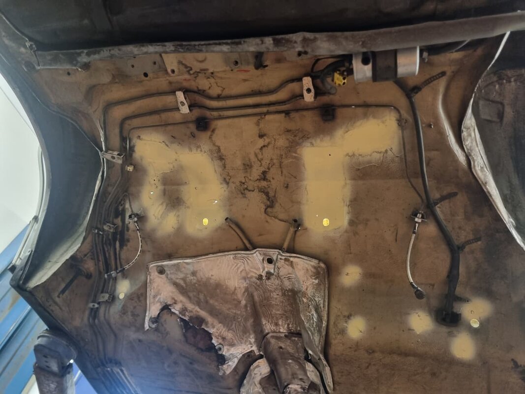 WhatsApp Image 2026-03-09 at 10.36.58.jpeg