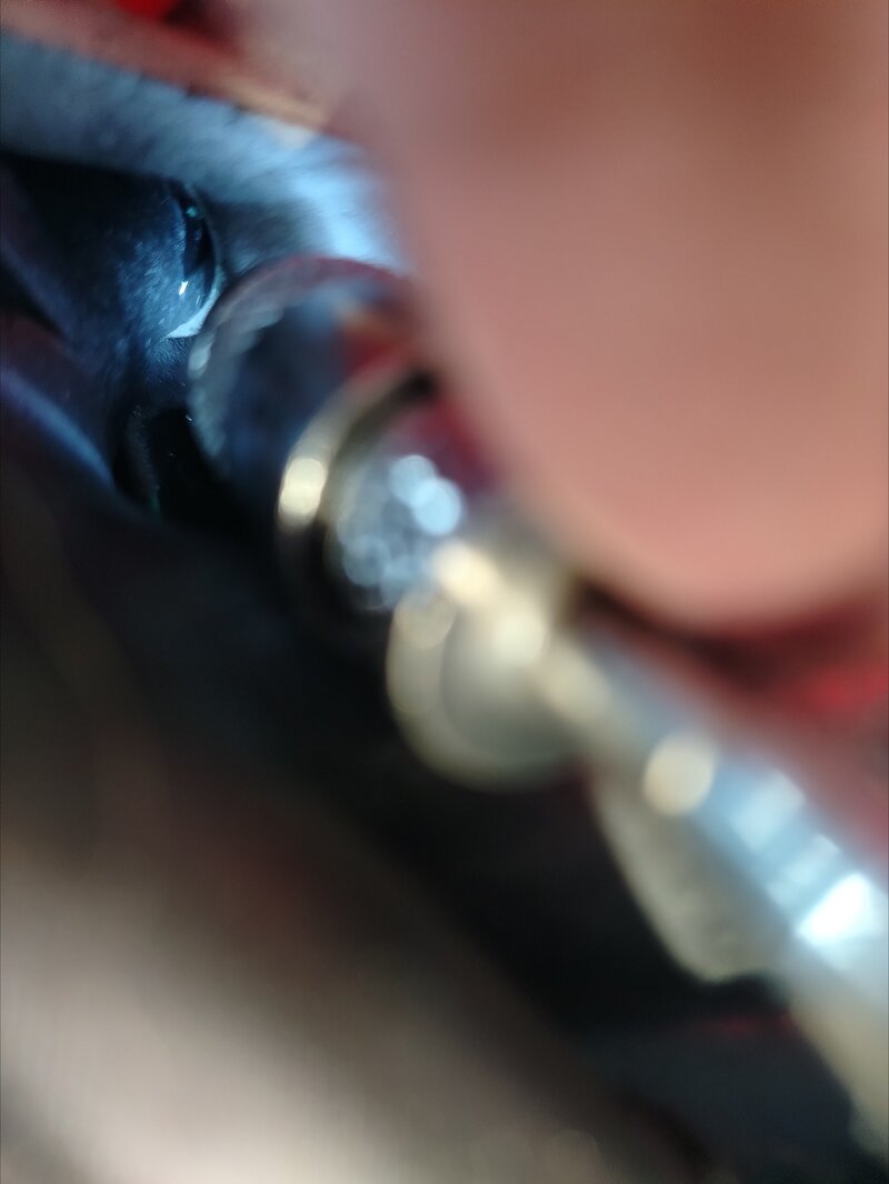 1000252374.jpg