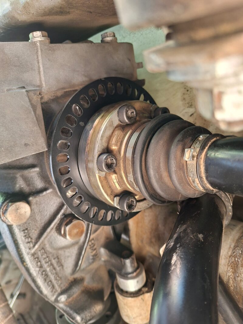 Rear Ring.jpeg