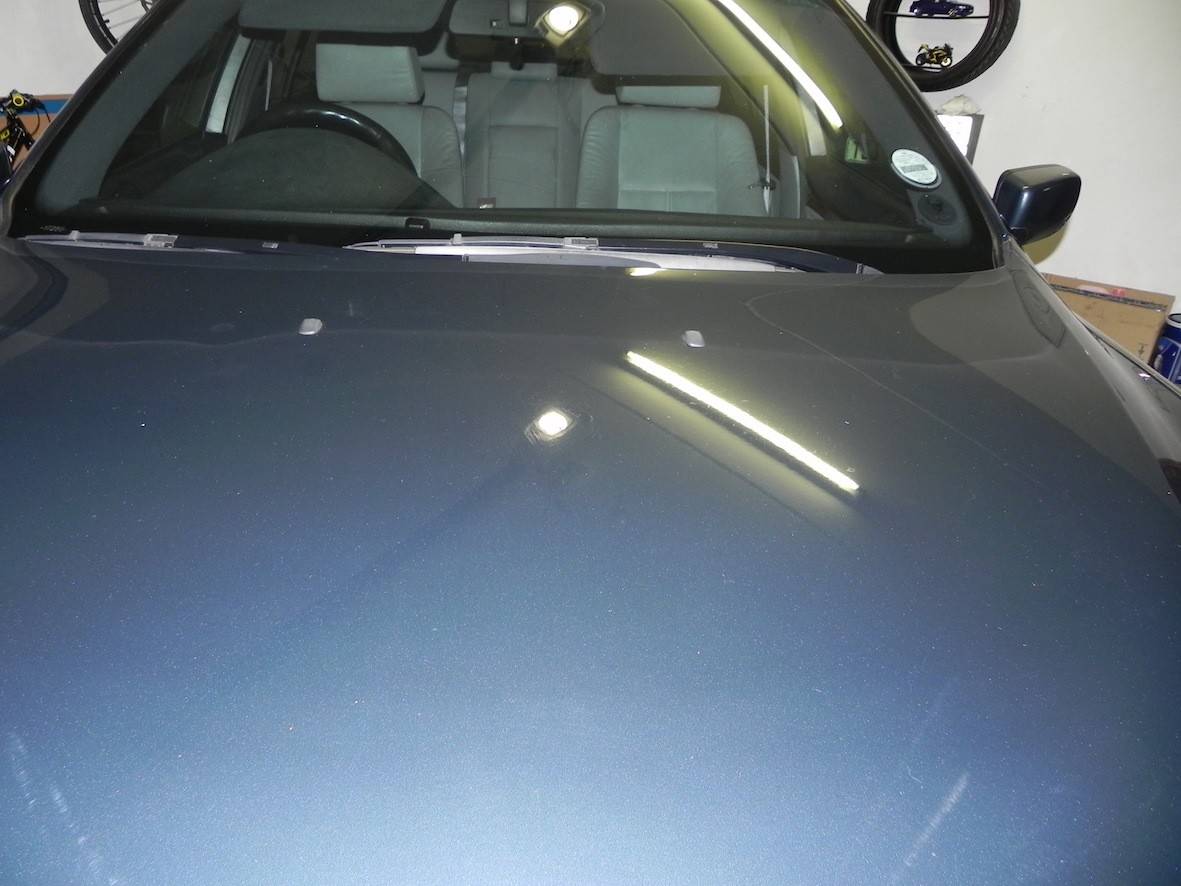 bonnet 2_4137687147.jpg