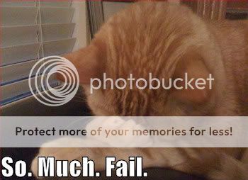 so_much_fail_trollcat.jpg