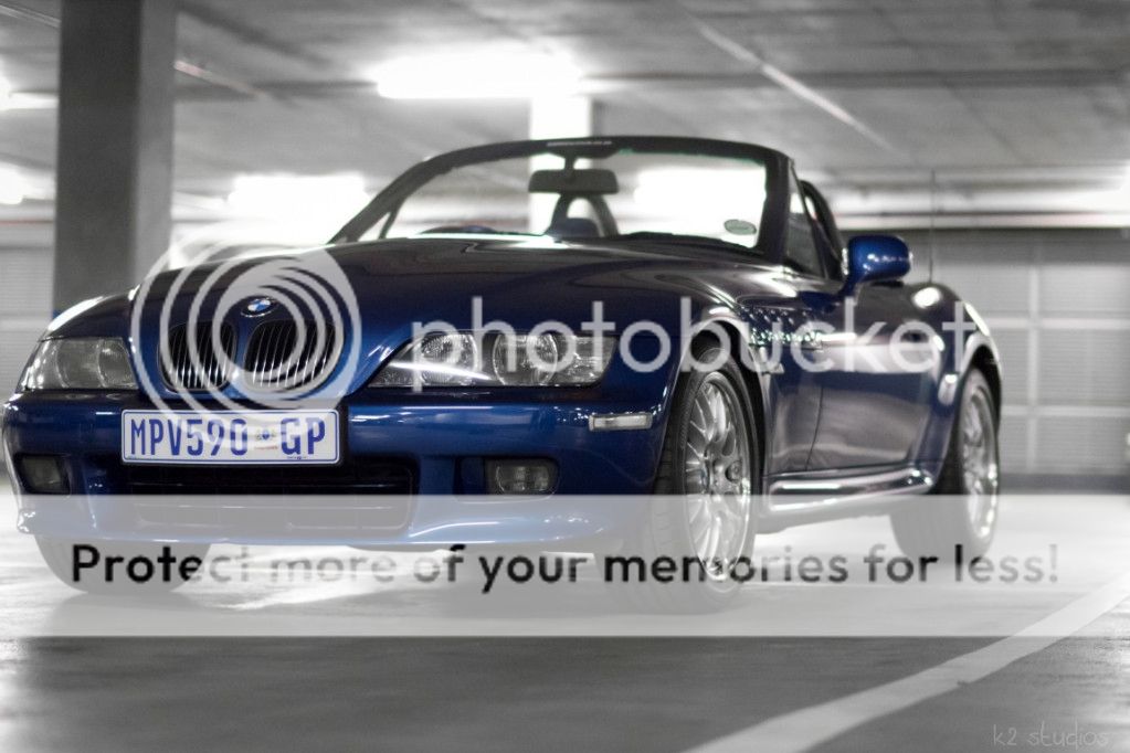 IMG_3795Medium.jpg