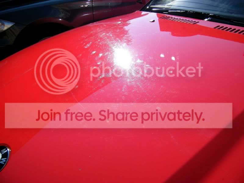 Picture550.jpg