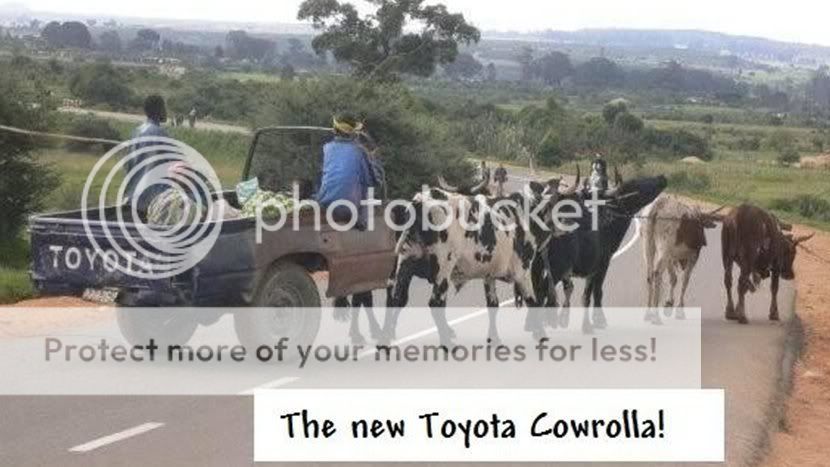 toyota.jpg