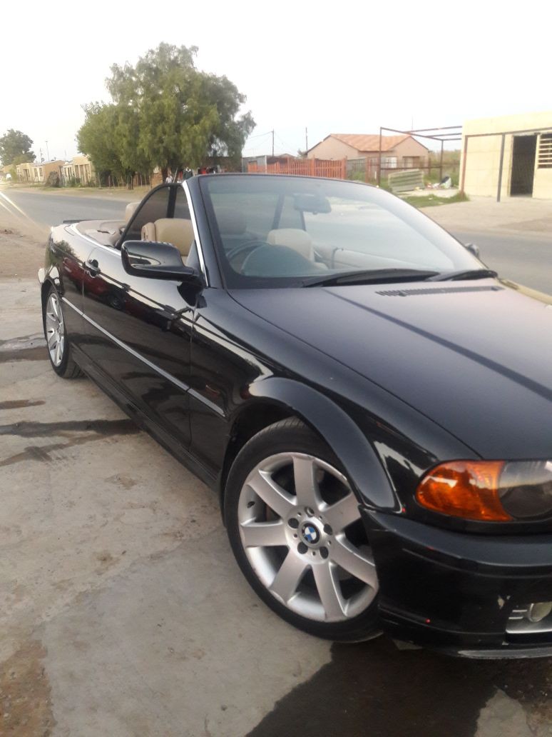 beemer_3517151111.jpg