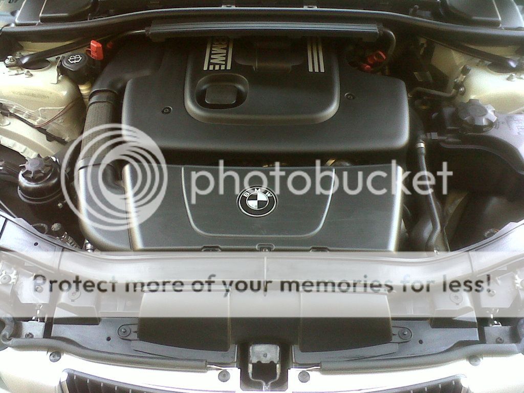 IMG00099-20120526-1434.jpg