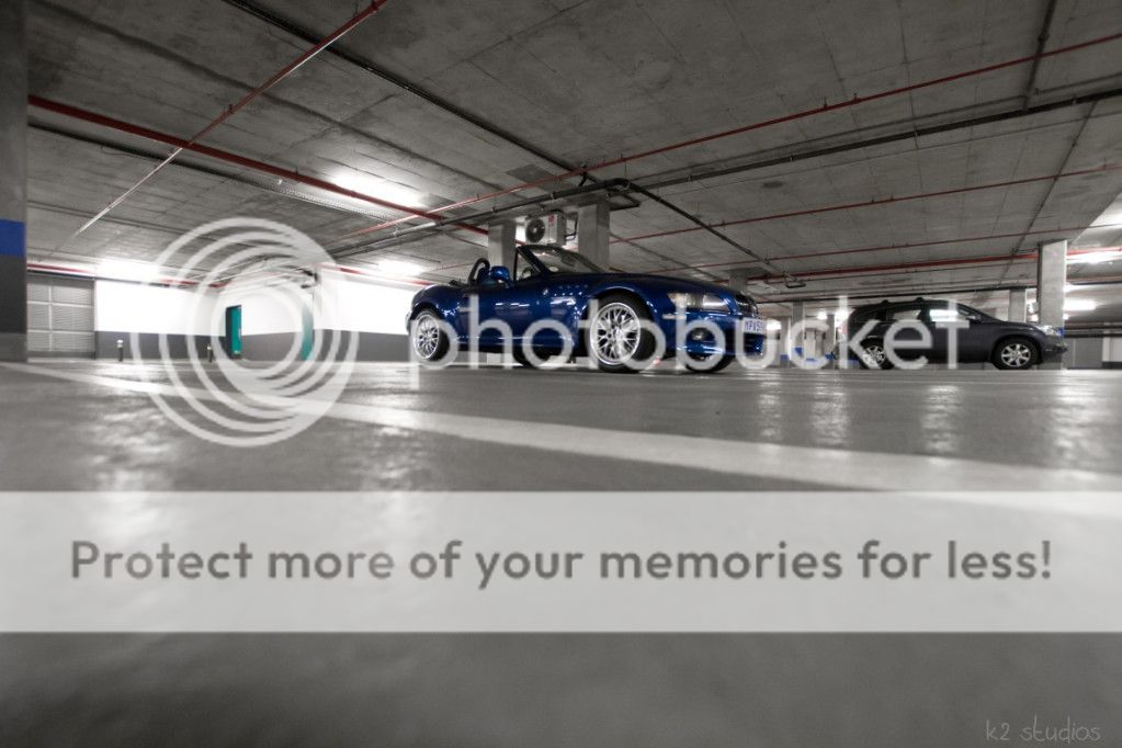 IMG_3906Medium.jpg