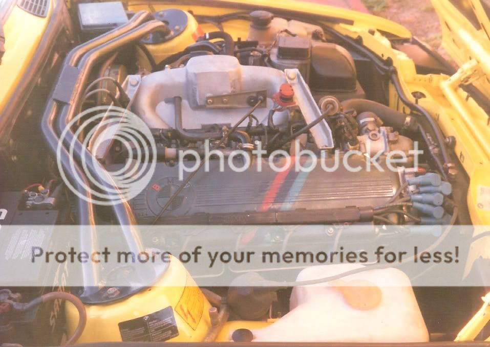 335ic-1.jpg