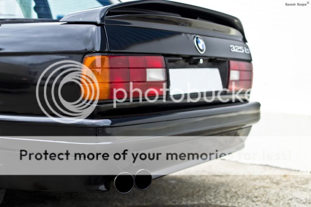 DSC_0453_zps21e7f92e.jpg