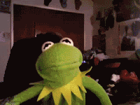 S5F6BiGgeiXKw.gif