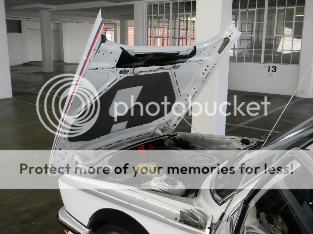 DSCN1229.jpg