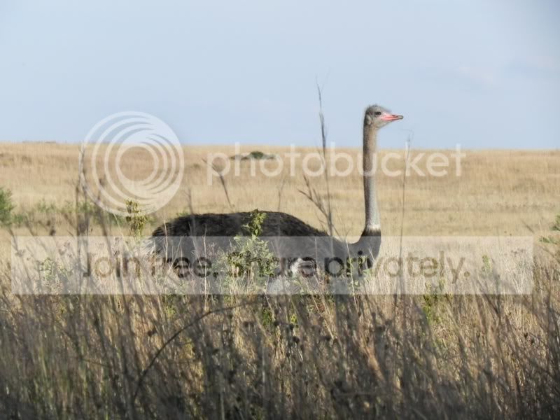 DSCN4950.jpg