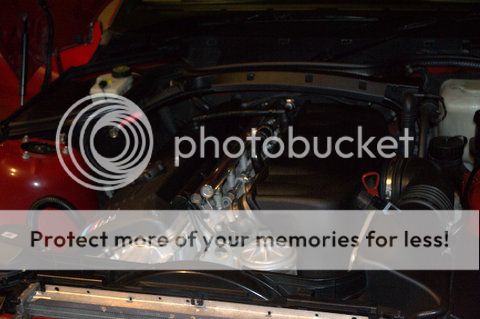 DSC_0050_zps1278e4b5.jpg