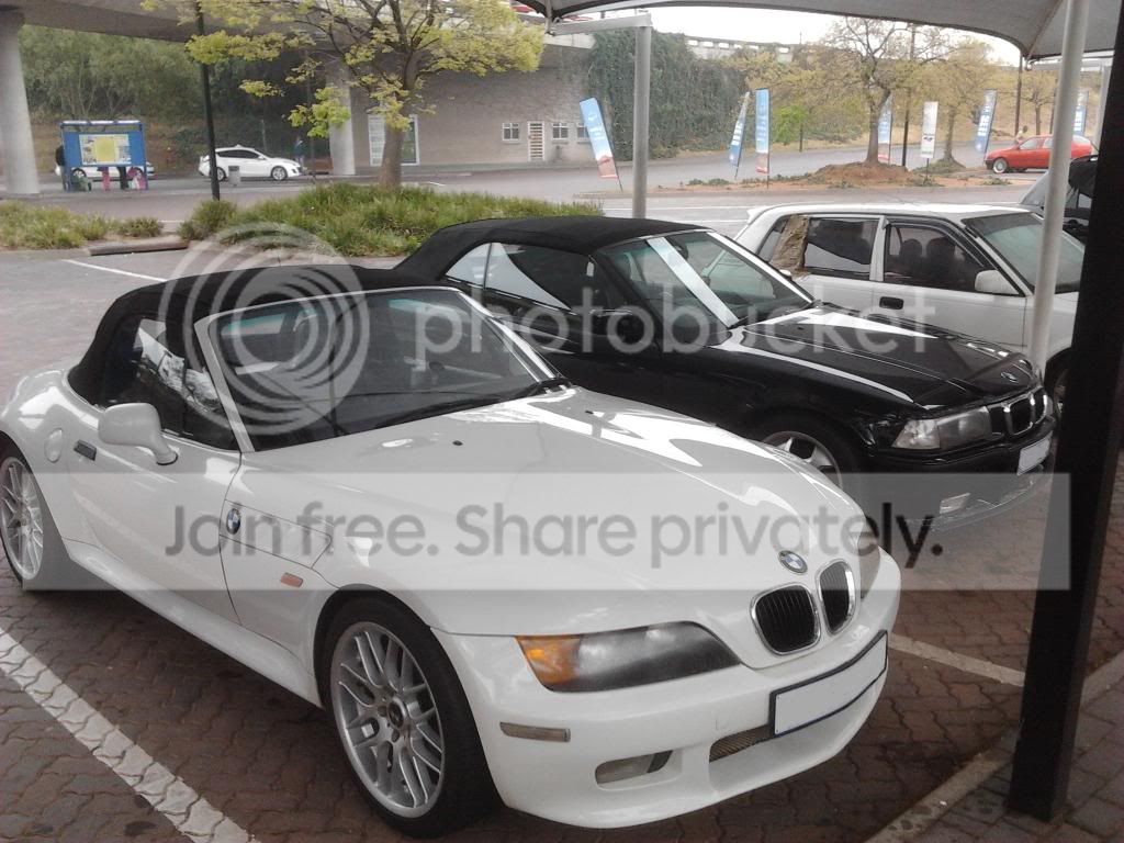 37d81172.jpg