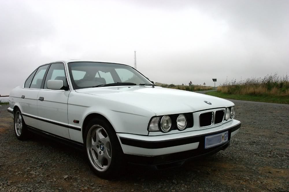 CRW_8931.jpg