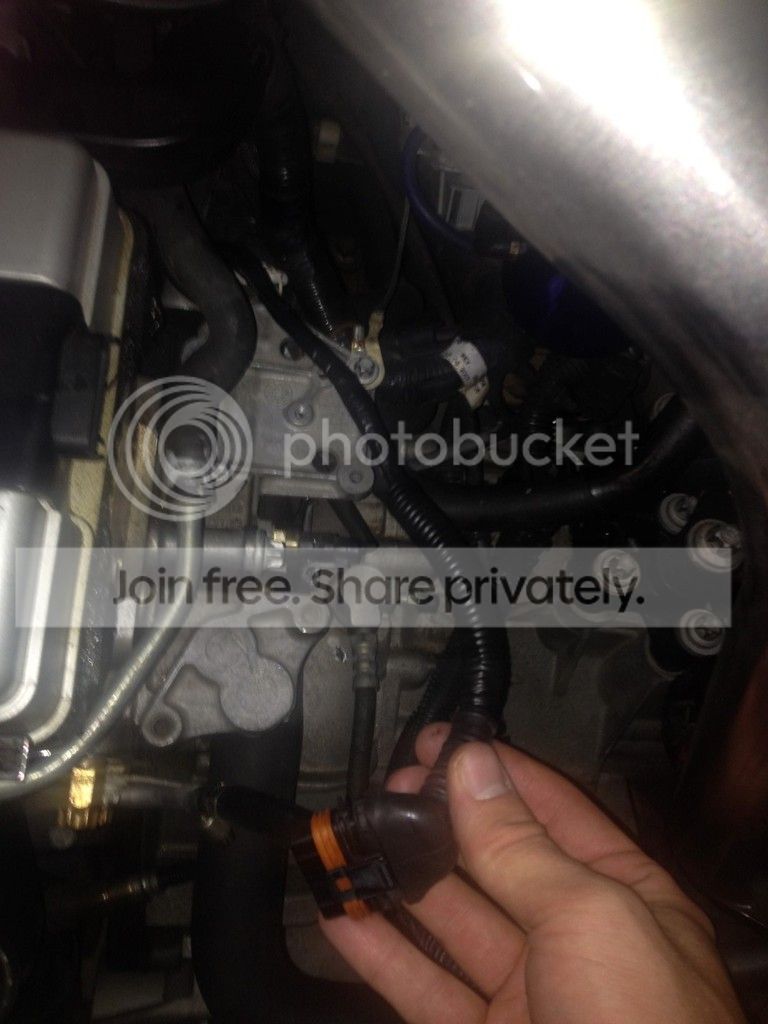 IMG_1821%20Large_zps4x4ahwrd.jpg