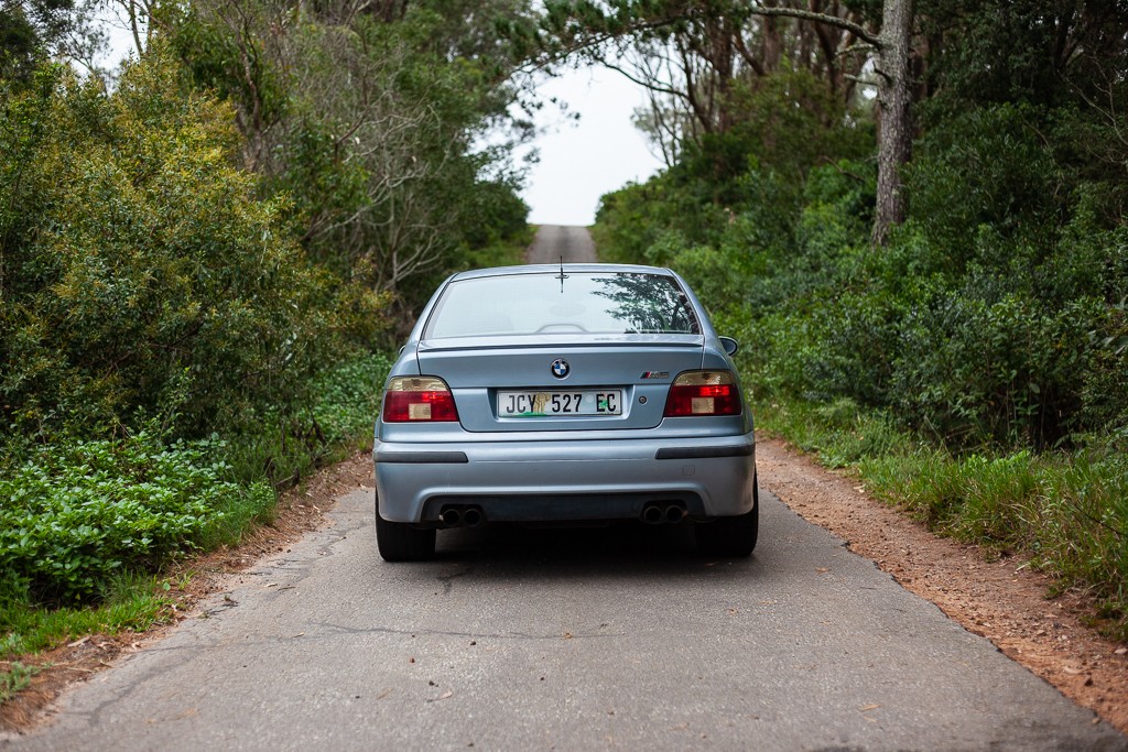m5 spruce (1 of 7)_9434836157.jpg