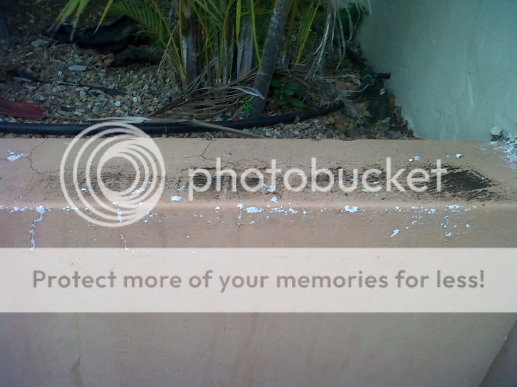 IMG01681-20120306-1902.jpg