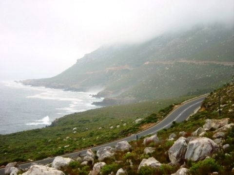 2000_1336_1.jpg