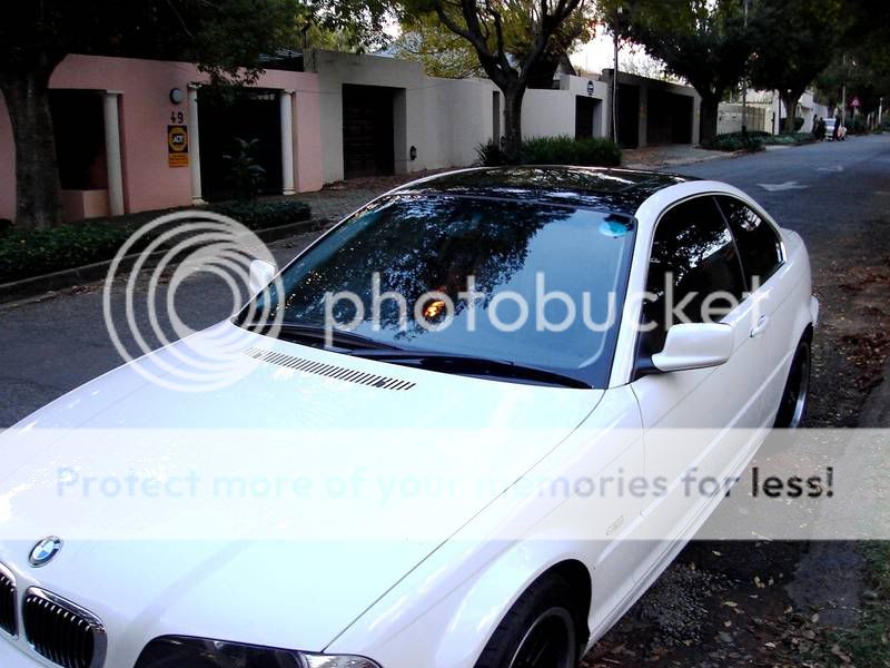 9642alj_20.jpg