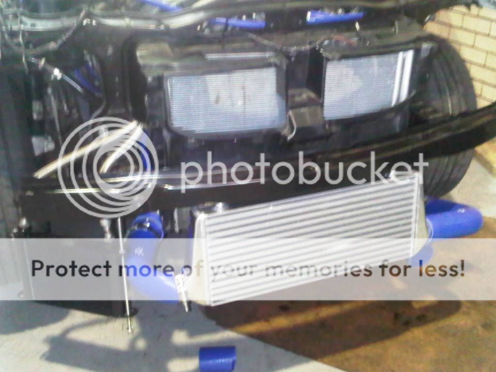 IMG00697-20110725-1622.jpg