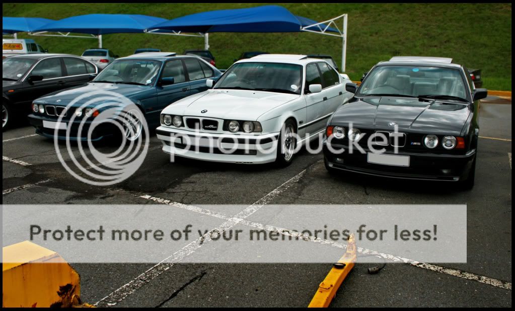 img9103c.jpg