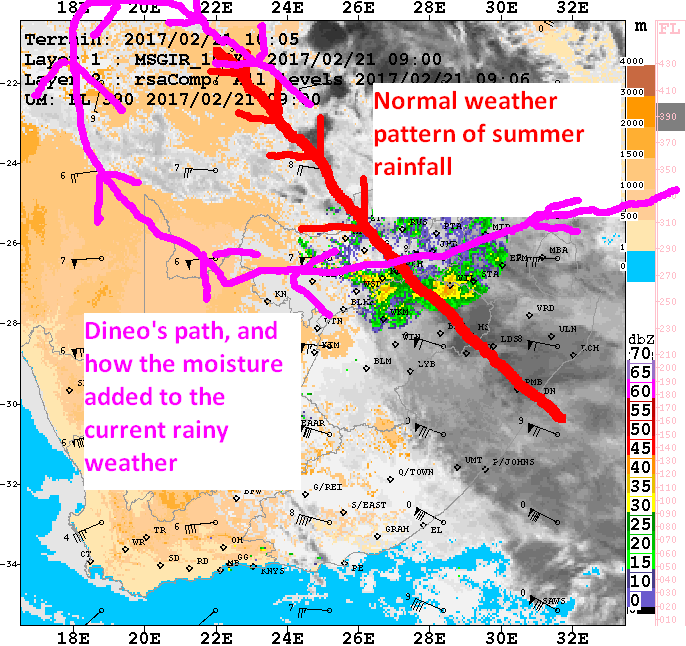 dineo_8488570470.png