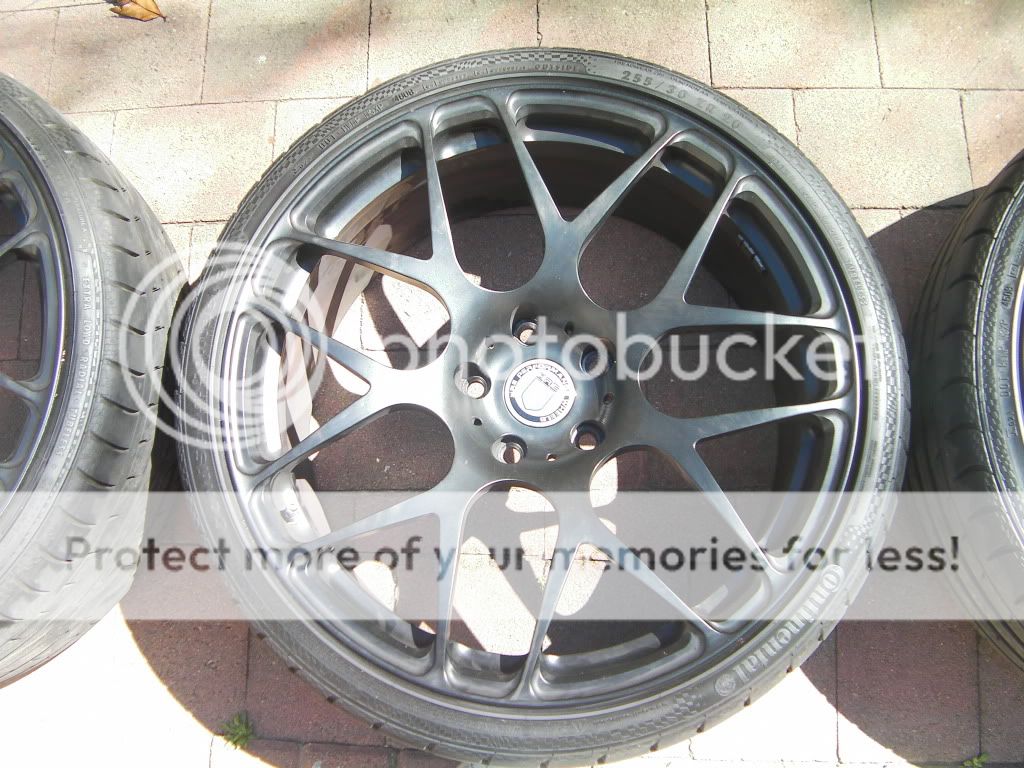 SANY3507.jpg