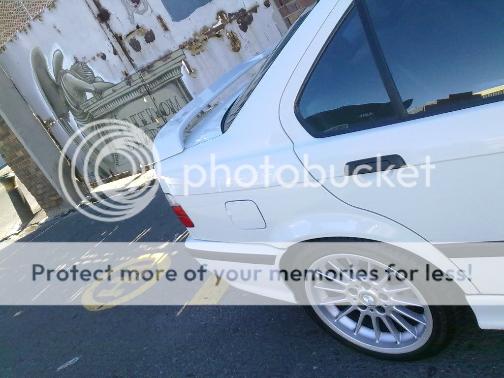 31012010265.jpg