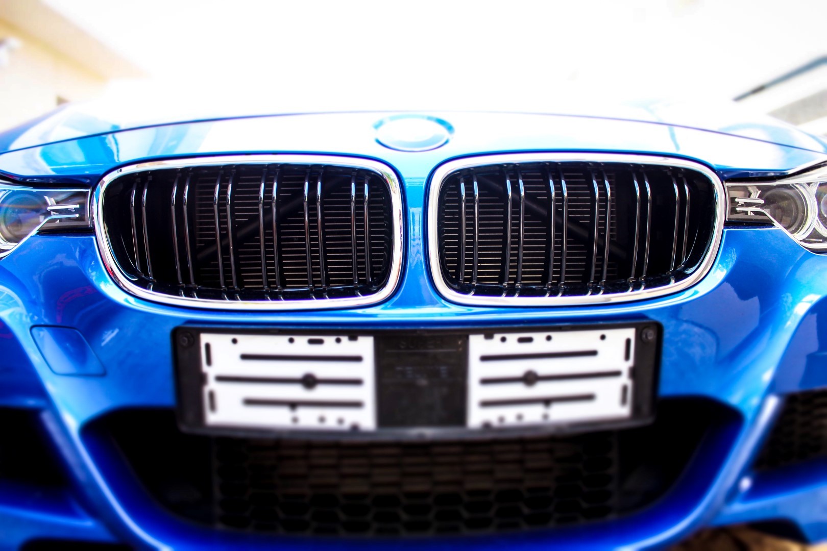 bmw m3 grills front (large)_5099876723.jpg
