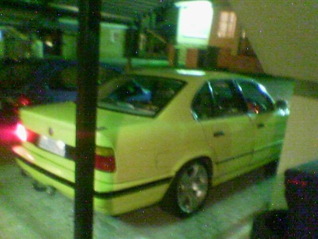 att829541_5006712866.jpg