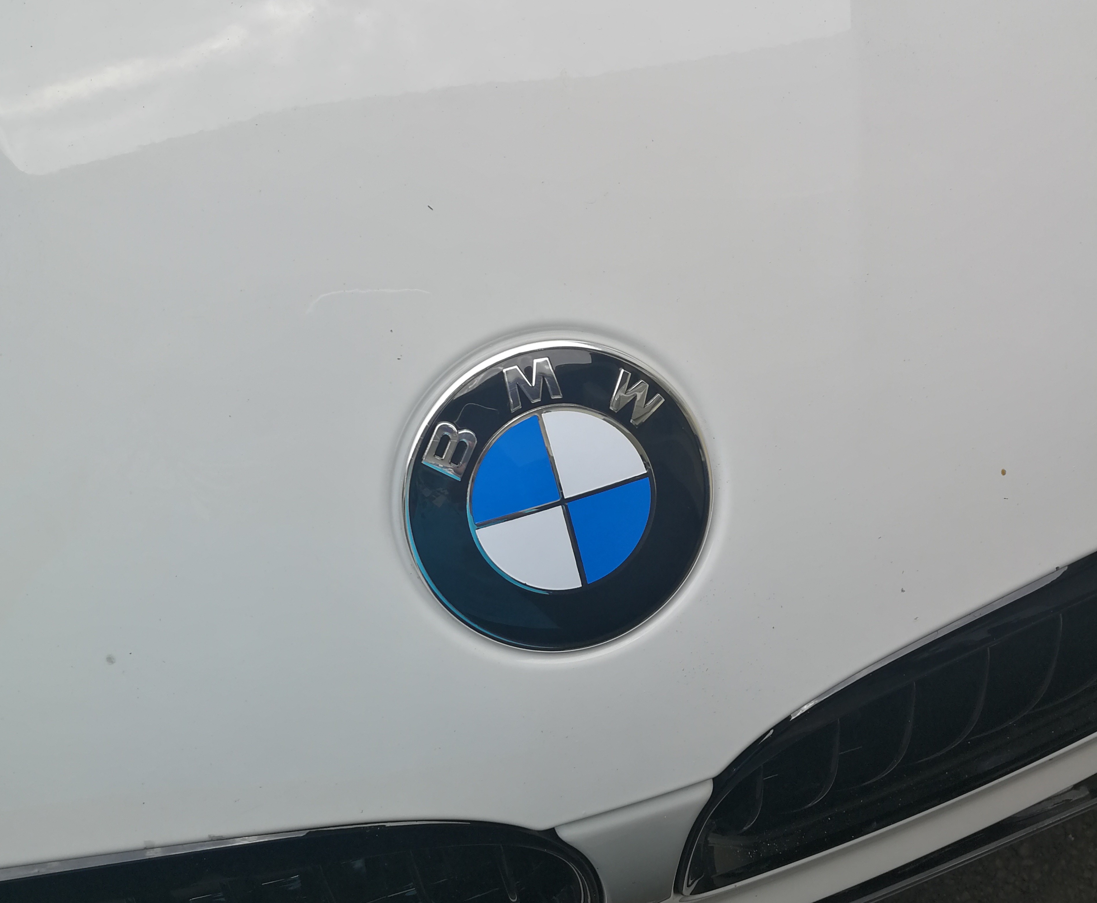 hood emblem_4414201960.jpg