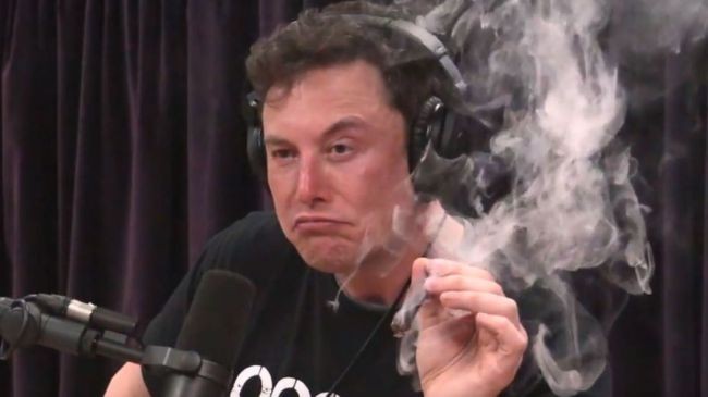 elon-musk-weed_4083444941.jpg