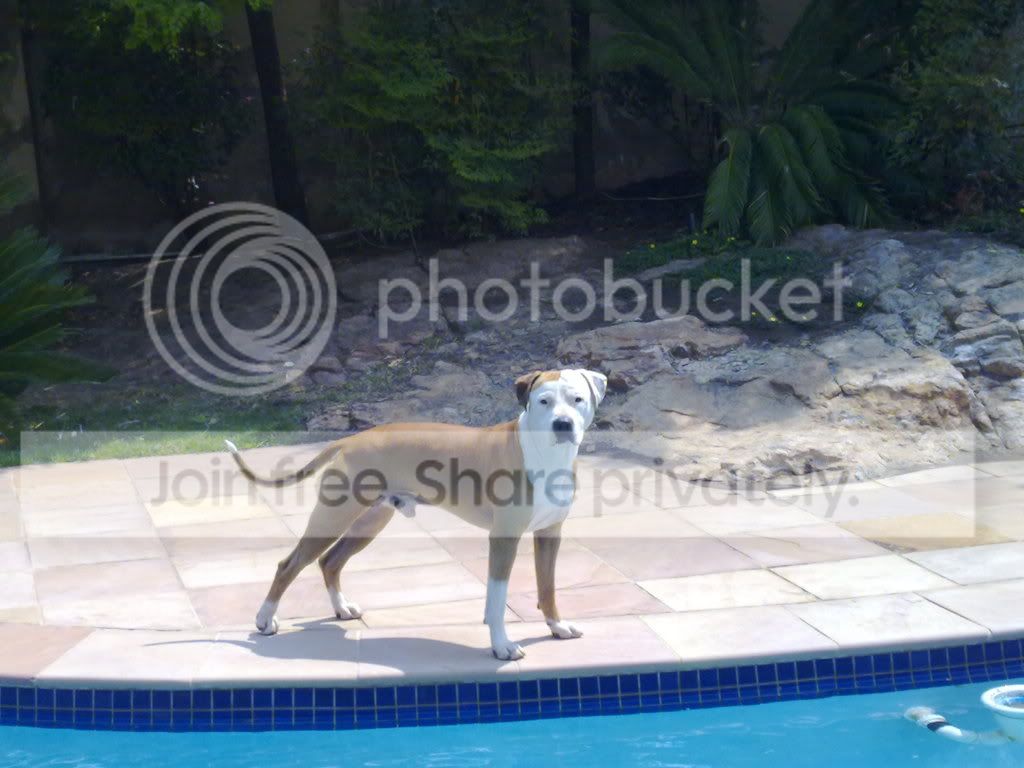 chester-1.jpg