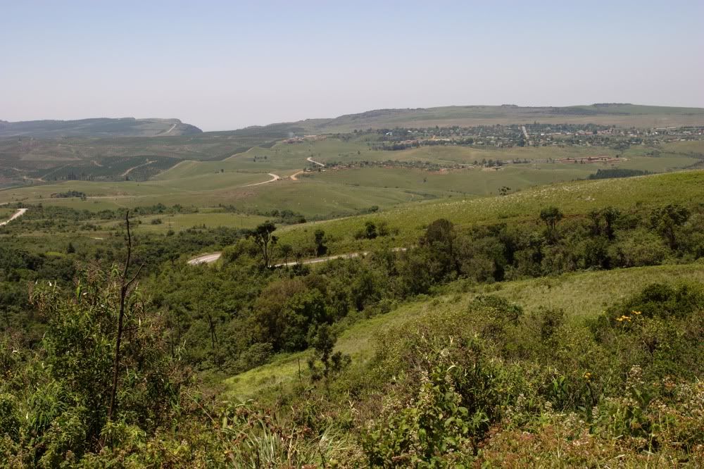 CRW_8326.jpg