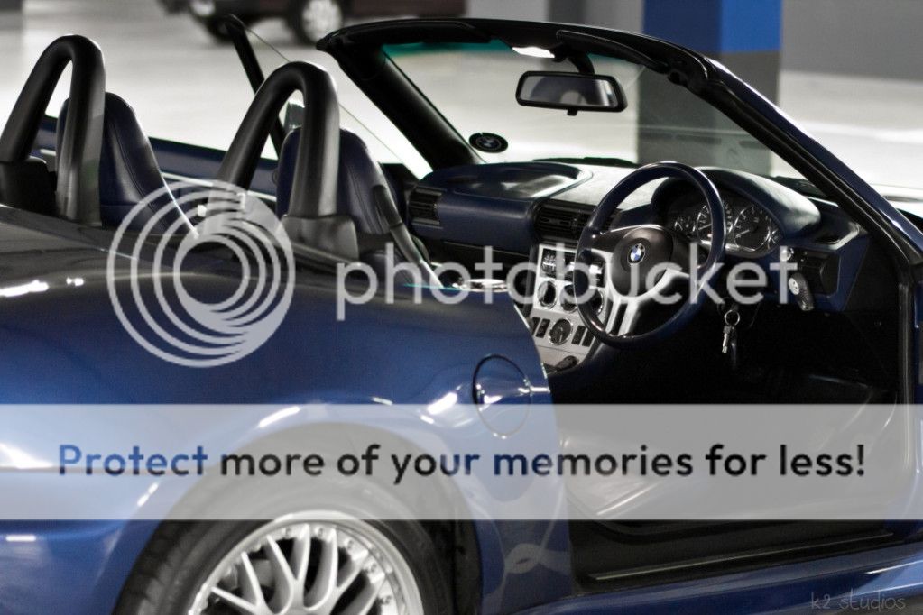 IMG_3783Medium.jpg