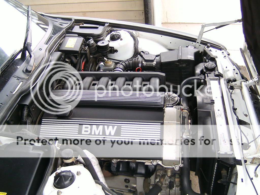 PICT2339.jpg