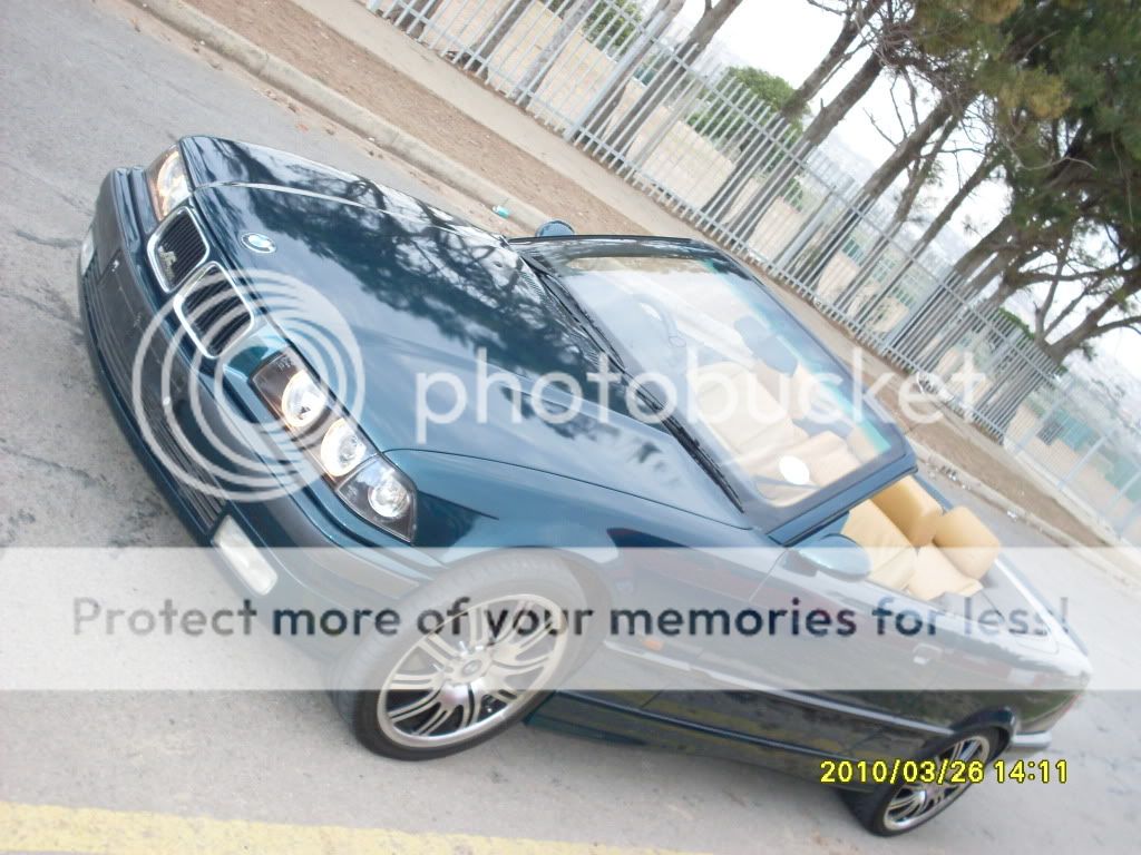 SDC11073.jpg