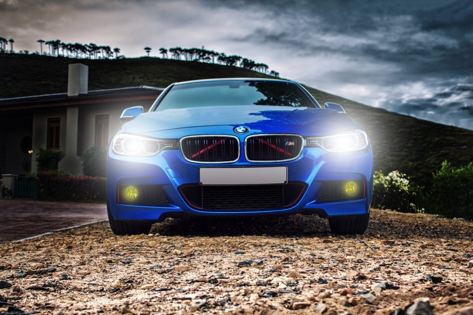 bmw night time vinyl (large)_2404394107.jpg