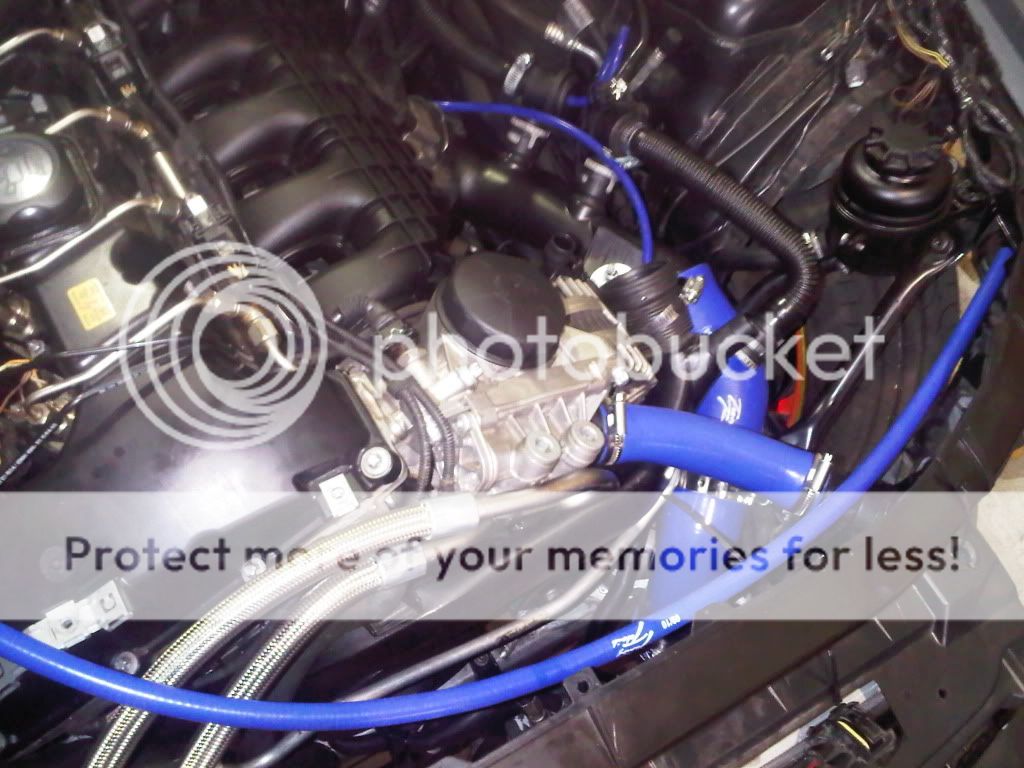 IMG00696-20110725-1622.jpg