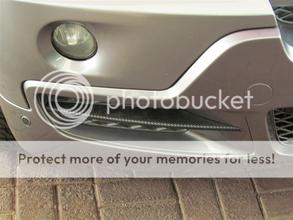 IMG_2040Medium_zps4be7ce1b.jpg