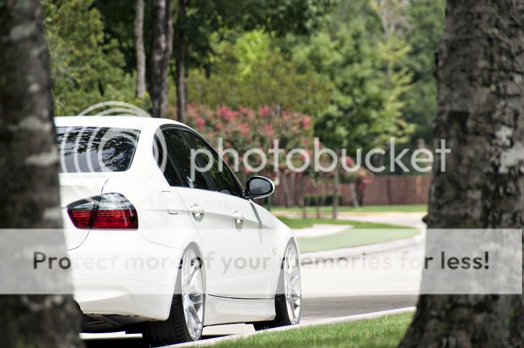 STUNNINGPIC.jpg