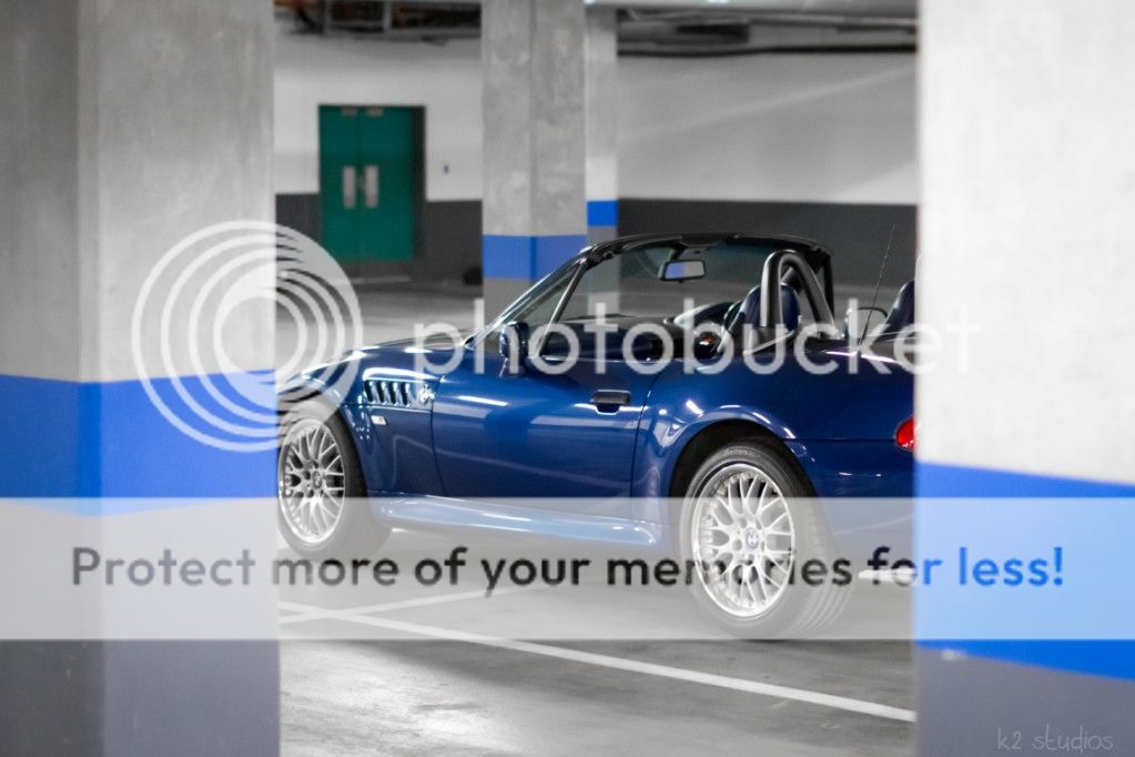 IMG_3824Medium.jpg