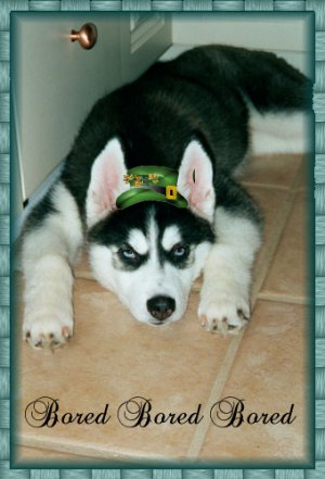stpat_pic9_bored.jpg