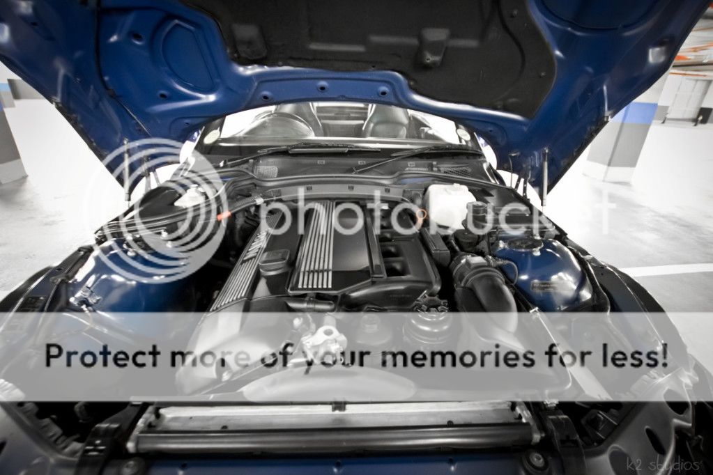IMG_3897Medium.jpg