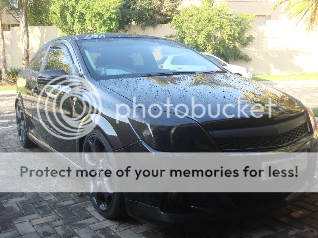 DSC08296_zps653a1fda.jpg